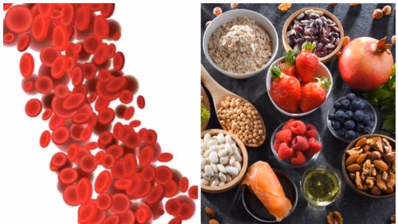 നല്ല കൊളസ്ട്രോൾ കൂട്ടണോ? എങ്കിൽ കഴിക്കൂ ഈ ഭക്ഷണങ്ങൾ നല്ല കൊളസ്ട്രോൾ കൂട്ടണോ? എങ്കിൽ കഴിക്കൂ ഈ ഭക്ഷണങ്ങൾ