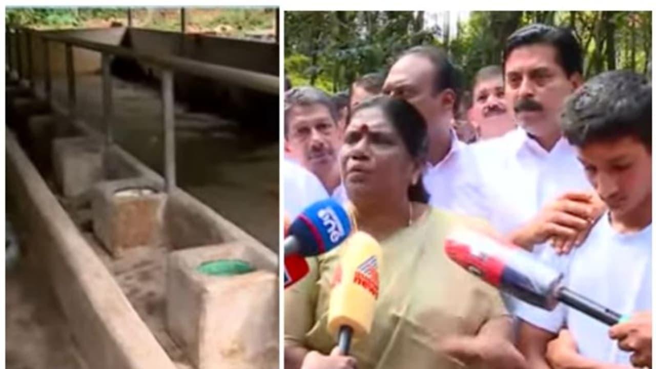 '5 പശുക്കളെ ഇൻഷുറൻസോടെ നൽകും'; കുട്ടിക്കർഷകരുടെ വീട്ടിൽ മന്ത്രിമാരായ റോഷി അഗസ്റ്റിനും ചിഞ്ചു റാണിയും '5 പശുക്കളെ ഇൻഷുറൻസോടെ നൽകും'; കുട്ടിക്കർഷകരുടെ വീട്ടിൽ മന്ത്രിമാരായ റോഷി അഗസ്റ്റിനും ചിഞ്ചു റാണിയും