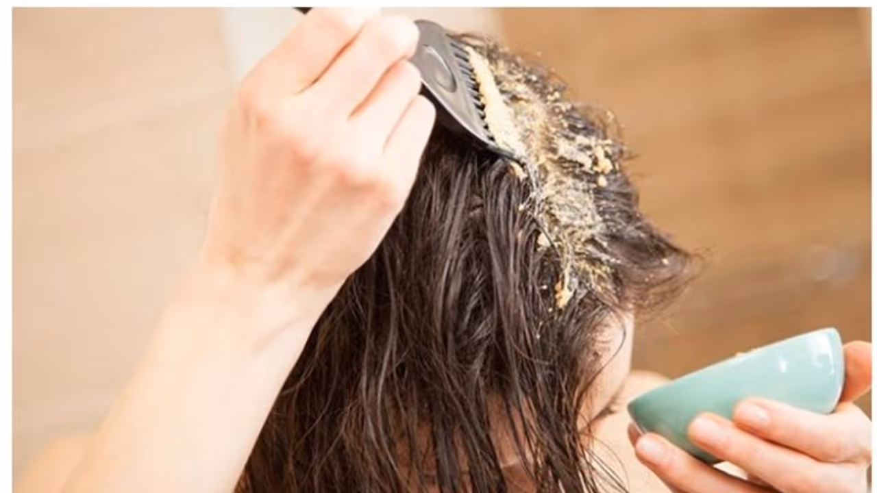 മുടികൊഴിച്ചിൽ കുറയ്ക്കാൻ പരീക്ഷിക്കാം നാല് ചേരുവകൾ ചേർത്തുള്ള നാച്ചുറൽ ഹെയർ പാക്ക് മുടികൊഴിച്ചിൽ കുറയ്ക്കാൻ പരീക്ഷിക്കാം നാല് ചേരുവകൾ ചേർത്തുള്ള നാച്ചുറൽ ഹെയർ പാക്ക്