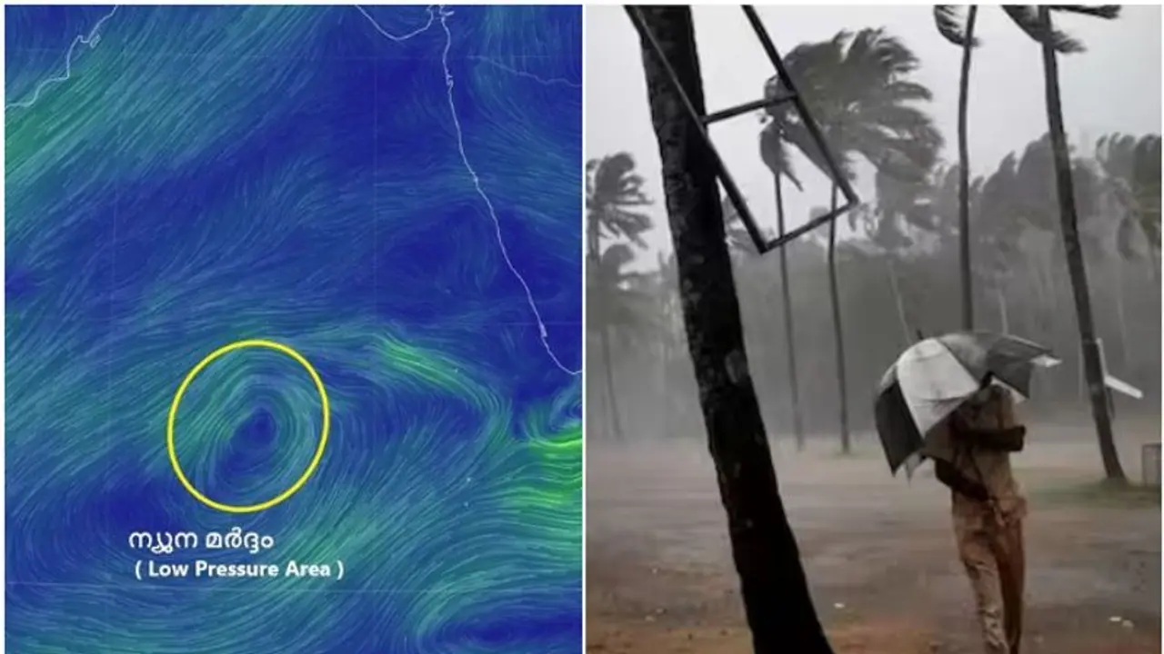 Kerala: IMD predicts summer rain in five districts on March 25; Check forecast Kerala: IMD predicts summer rain in five districts on March 25; Check forecast