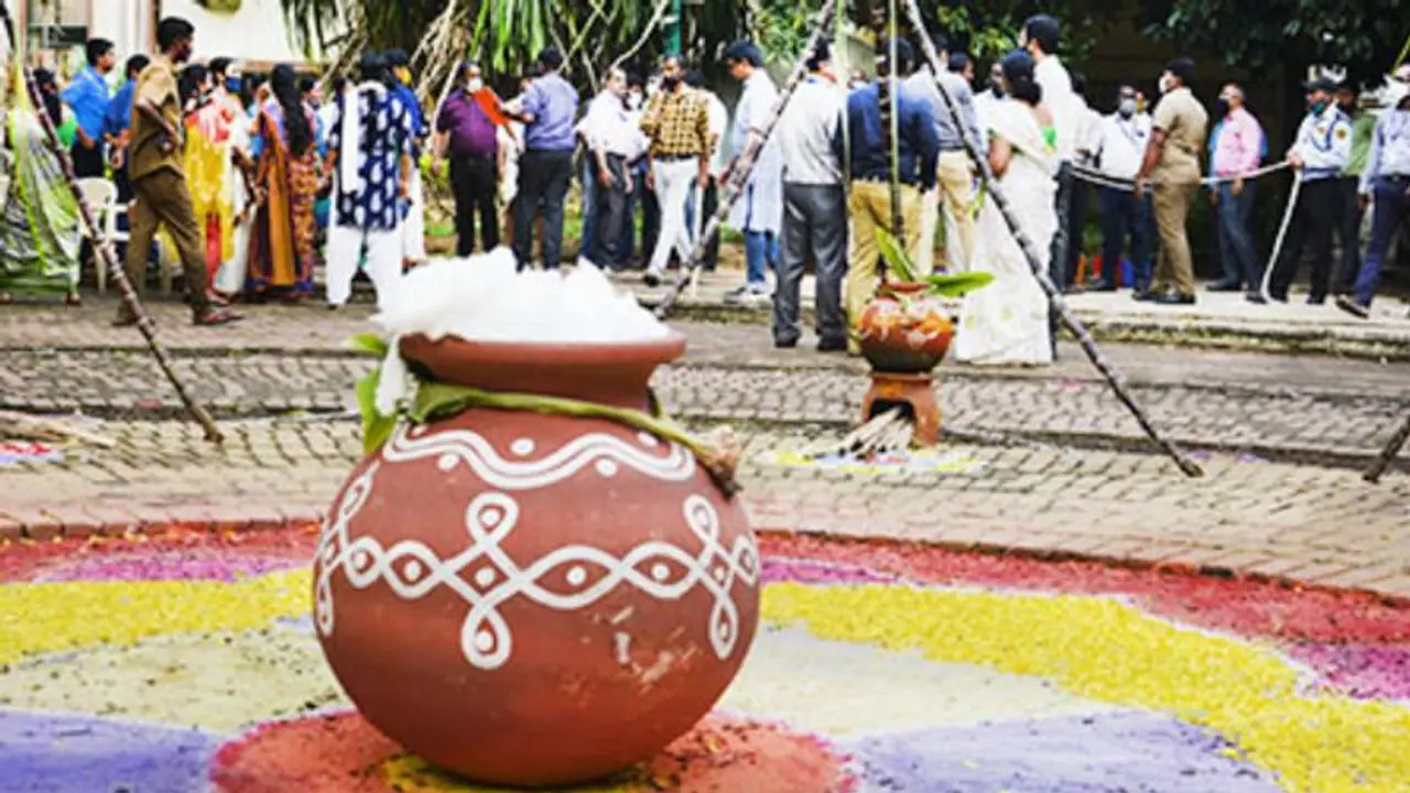 பொங்கல் 2024 : தேதி, வரலாறு, முக்கியத்துவம், கொண்டாட்டங்கள் மற்றும் பல... பொங்கல் 2024 : தேதி, வரலாறு, முக்கியத்துவம், கொண்டாட்டங்கள் மற்றும் பல...