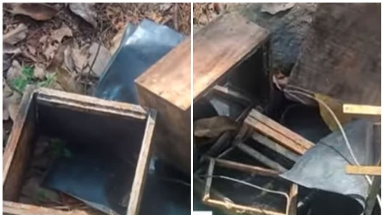 സന്ധ്യയായാൽ പേടിച്ച് പുറത്തിറങ്ങാനാവില്ല, തേന്‍പെട്ടി ലക്ഷ്യമാക്കി എത്തും; എല്ലാം തകർക്കും, കരടിയെ ഭയന്ന് നാട്