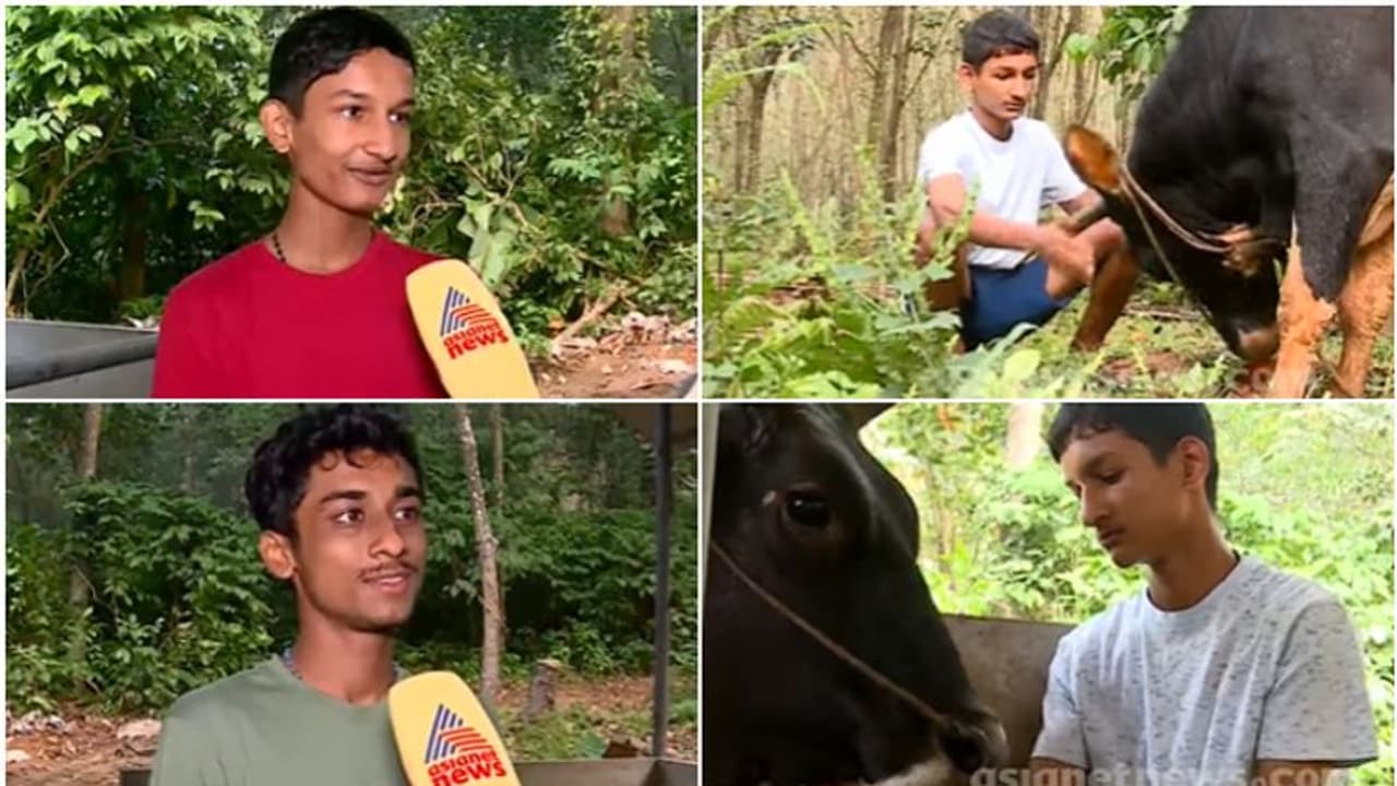 'മറക്കാനൊന്നും പറ്റൂല്ല, സ്നേഹിച്ചു വളർത്തിയതല്ലേ, ഇനി വലിയ തൊഴുത്ത് പണിയണം, മൃഗ ഡോക്ടറാവണം': മാത്യുവും ജോർജും