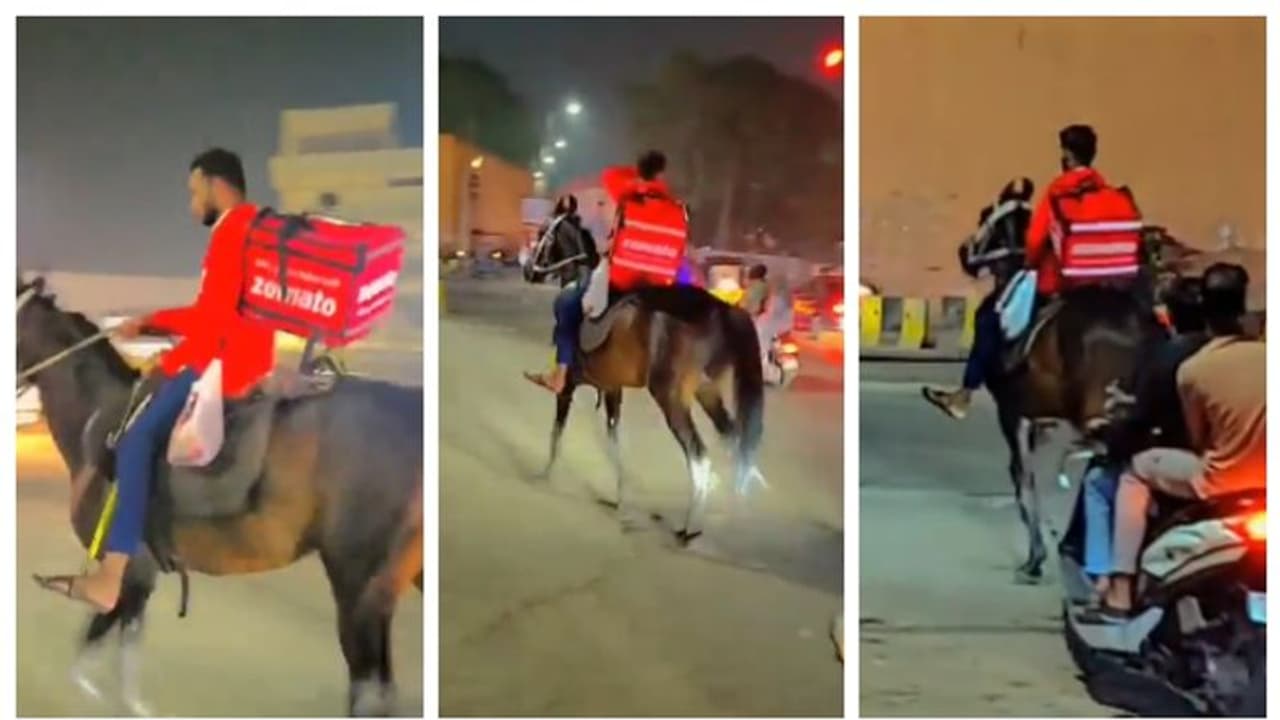 സവാരിയല്ല സാറേ...! ട്രക്ക് ഡ്രൈവർമാരുടെ പണിമുടക്കിന് പിന്നാലെ കുതിരപ്പുറത്ത് സെമാറ്റോ ഡെലിവറി ചെയ്യുന്ന യുവാവ് സവാരിയല്ല സാറേ...! ട്രക്ക് ഡ്രൈവർമാരുടെ പണിമുടക്കിന് പിന്നാലെ കുതിരപ്പുറത്ത് സെമാറ്റോ ഡെലിവറി ചെയ്യുന്ന യുവാവ്