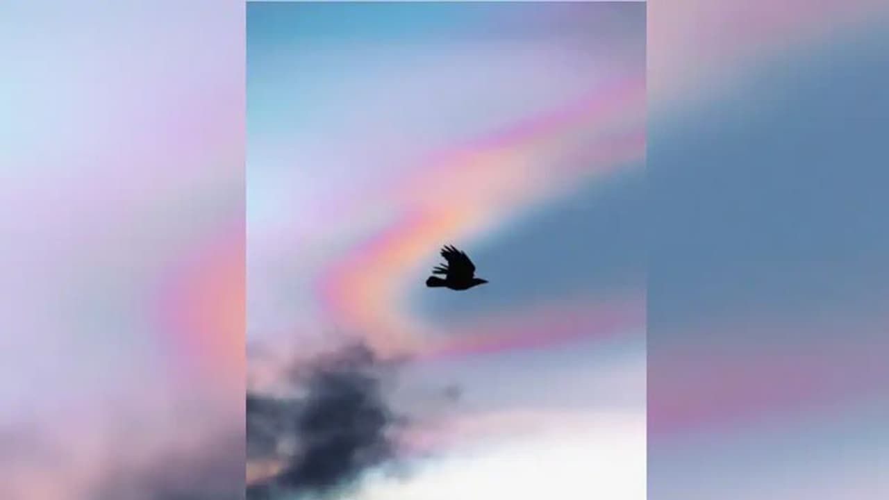 Scotland's rare spectacle: Viral video showcases mesmerizing 'rainbow clouds' illuminating the sky (WATCH) Scotland's rare spectacle: Viral video showcases mesmerizing 'rainbow clouds' illuminating the sky (WATCH)
