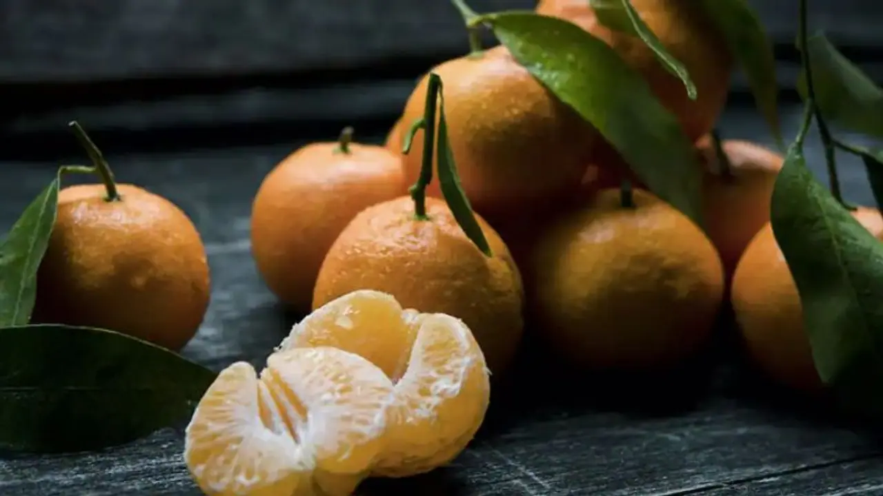 Health Tips: മഞ്ഞുകാലത്ത് ഓറഞ്ച് കഴിക്കാമോ? അറിയാം ഇക്കാര്യങ്ങള്‍... 