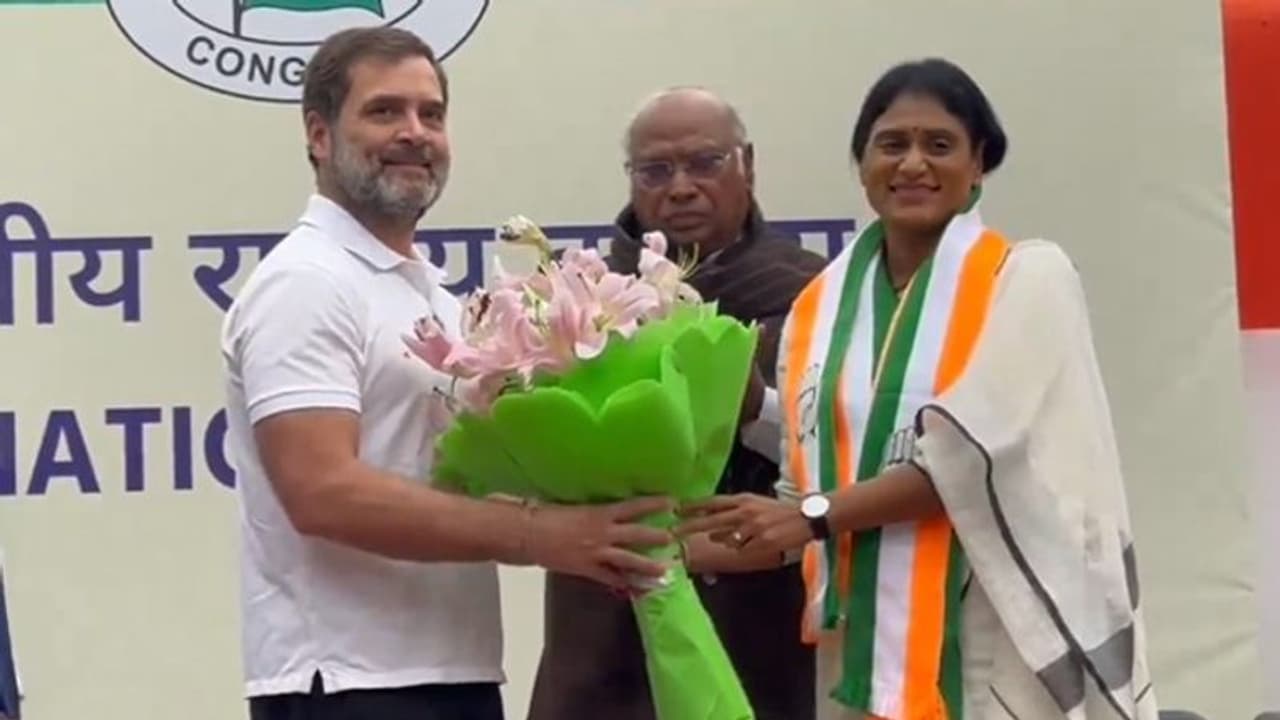 YS Sharmila: కాంగ్రెస్‌తో వైసీపీకే కాదు.. టీడీపీకి కూడా ముప్పేనా? టీపీసీసీ రూటులోనే ఏపీ కాంగ్రెస్!