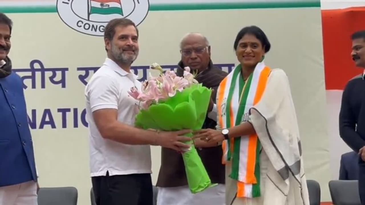 நாட்டின் மிகப்பெரிய மதசார்பற்ற கட்சி காங்கிரஸ்: ஒய்.எஸ்.ஷர்மிளா புகழாரம்!