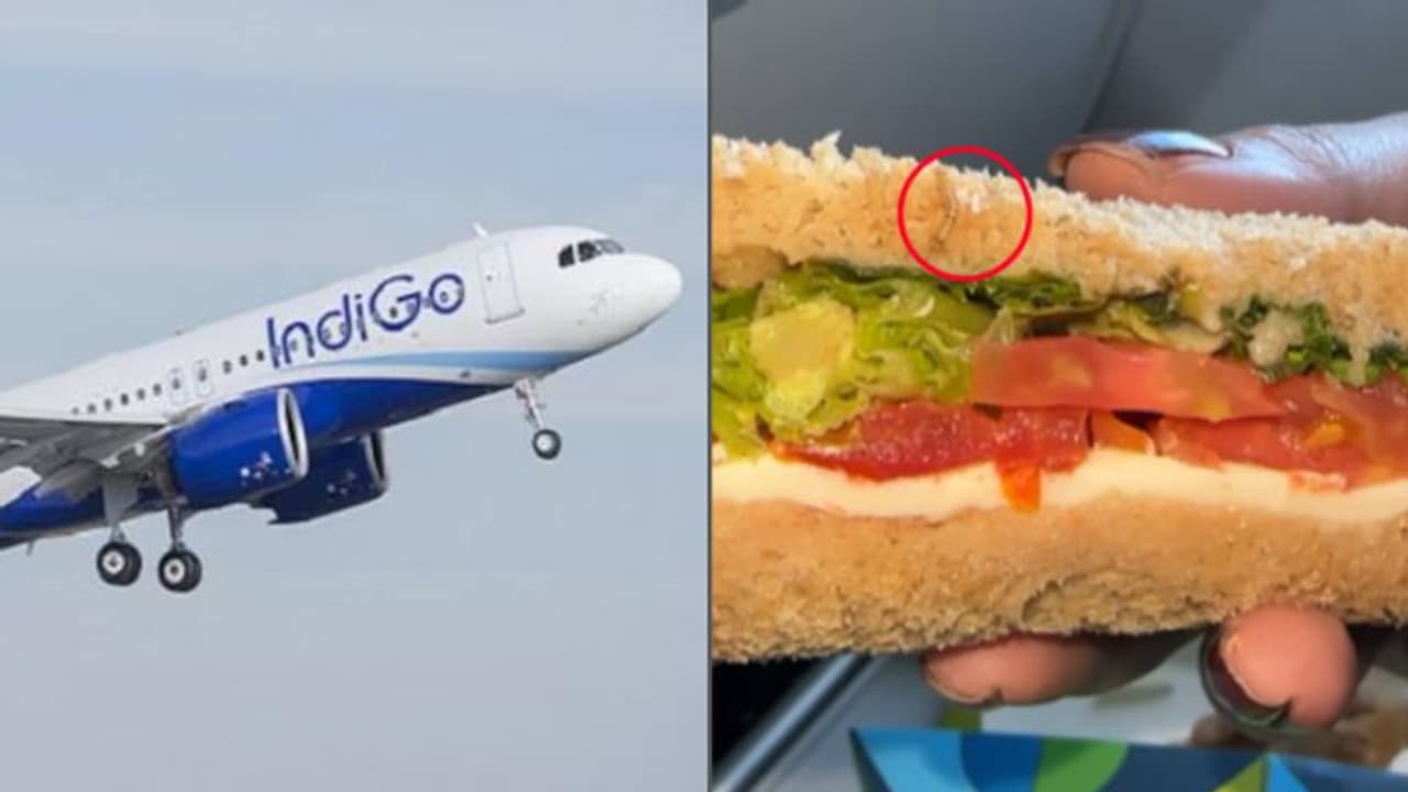 'ചിക്കൻ സാൻഡ്വിച്ചിൽ ജീവനുള്ള പുഴു, മാപ്പുകൊണ്ട് തീർന്നില്ല'; ഇൻഡിഗോയ്ക്ക് നോട്ടീസയച്ച് എഫ്എസ്എസ്എഐ 'ചിക്കൻ സാൻഡ്വിച്ചിൽ ജീവനുള്ള പുഴു, മാപ്പുകൊണ്ട് തീർന്നില്ല'; ഇൻഡിഗോയ്ക്ക് നോട്ടീസയച്ച് എഫ്എസ്എസ്എഐ