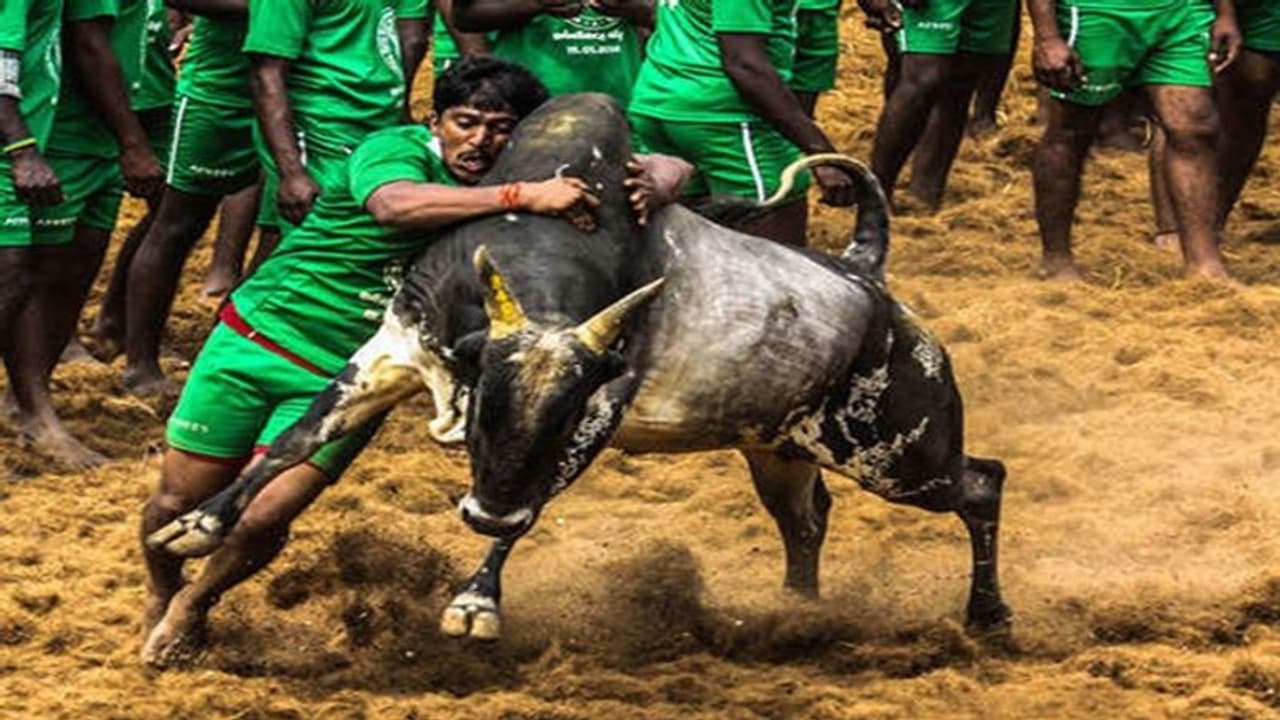 8 மணி நேரம் ஜல்லிக்கட்டு வேண்டும், ஆன்லைன் டோக்கனை ரத்து செய்ய வேண்டும் மாவட்ட ஆட்சியரிடம் மனு