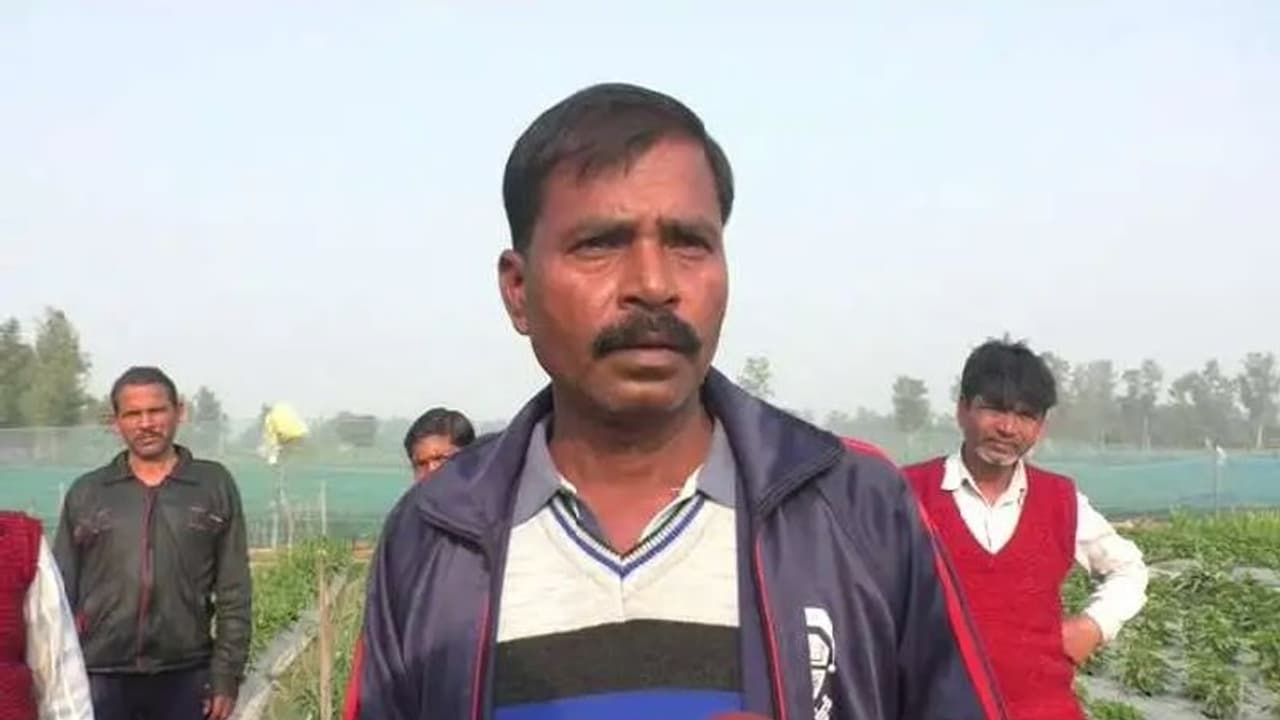 स्ट्राबेरी की खेती ने बाराबंकी के इस किसान की बदल दी तकदीर