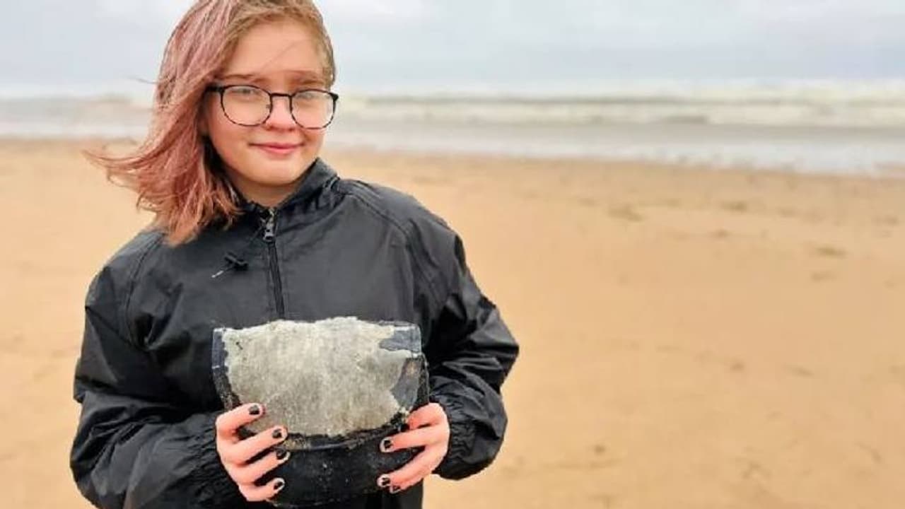 എന്തതിശയം; 30 വർഷം മുമ്പ് കള്ളൻ കൊണ്ടുപോയ ബാ​ഗ് കയ്യിലെത്തി, വിശ്വസിക്കാനാവാതെ 81 കാരി