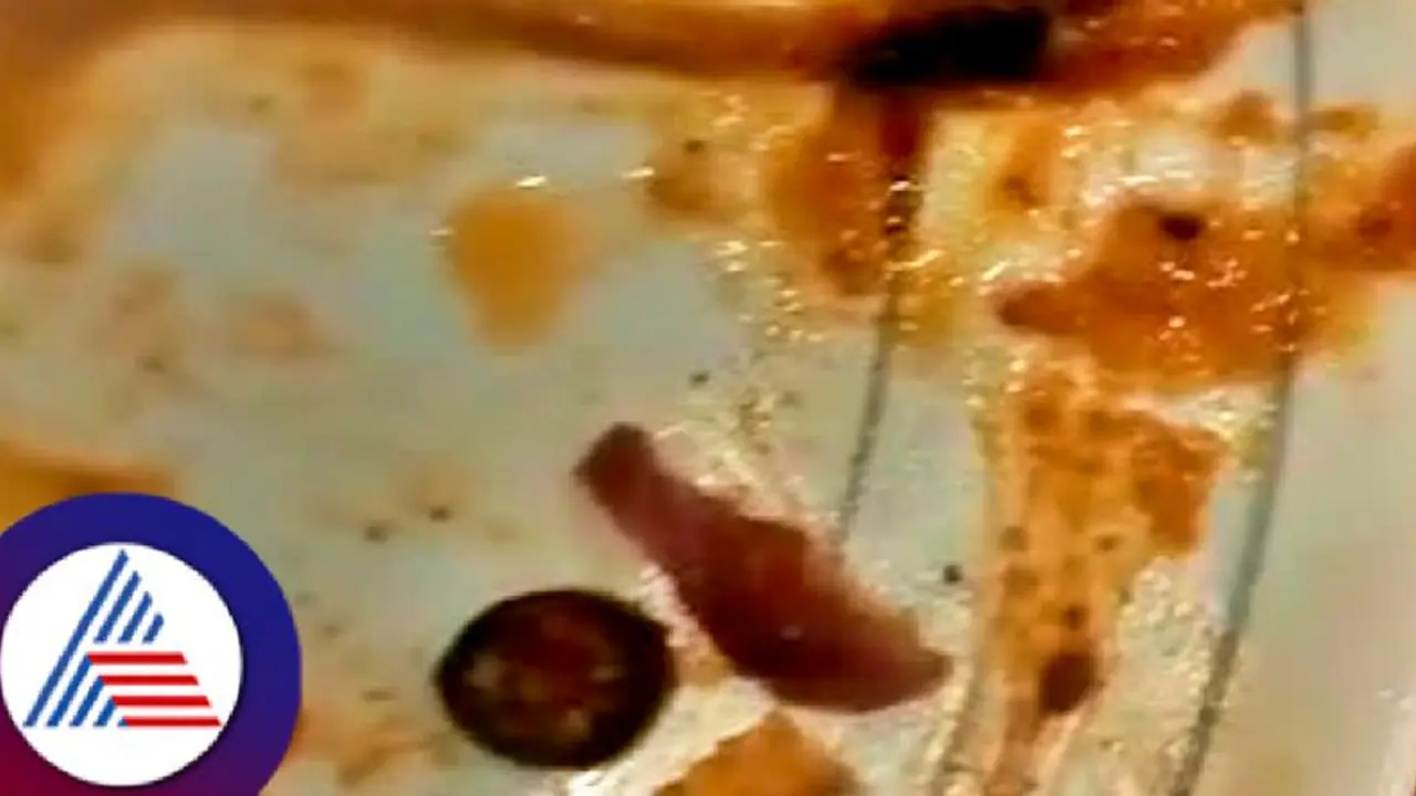 Cockroach found in meal at prestigious star hotel in Bengaluru, lawyer files complaint