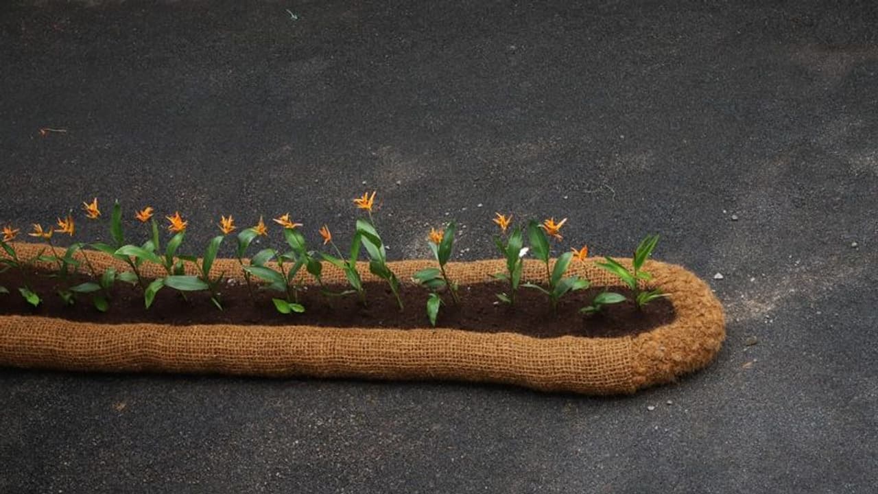 ഒരു പുതിയ ഐഡിയ, നമ്മുടെ റോ‍ഡുകളിൽ ഇത് വന്നാൽ എങ്ങനെയുണ്ടാകും, ചെലവും വളരെ കുറവ്; കുറിപ്പുമായി മന്ത്രി രാജീവ്