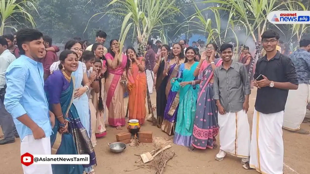 Pongal 2024: Know date, time, significance and more of this harvest festival Pongal 2024: Know date, time, significance and more of this harvest festival