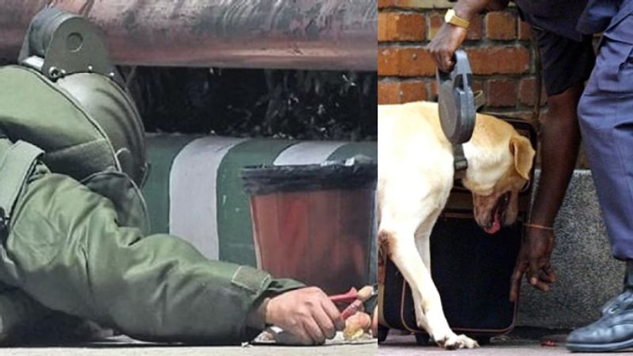 'മ്യൂസിയം ഇന്ന് തകരും', ബോംബ് ഭീഷണിയുമായി ഇ മെയിൽ; സന്ദർശകർക്ക് വിലക്ക്, ഇന്ത്യൻ മ്യൂസിയത്തിൽ പരിശോധന