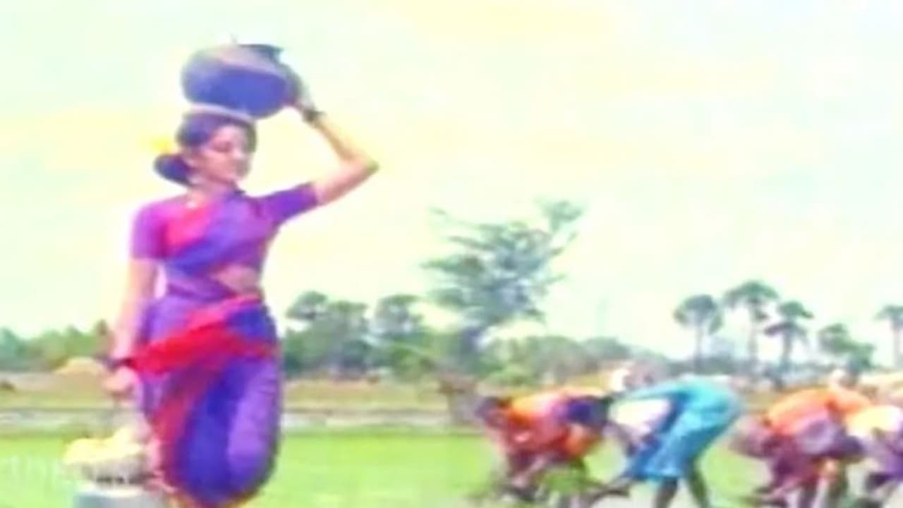  ನಟನೆಯಲ್ಲಿದ್ದಾಗ ಸೂಪರ್‌ ಸ್ಟಾರ್‌ ಪಟ್ಟ, ರಾಜಕೀಯಕ್ಕೆ ಬಂದು ಬದುಕೇ ಹಾಳಾಯ್ತು, ಮದುವೆಯಾದ್ರೂ ಒಂಟಿಯಾಗಿರುವ ನಟಿ