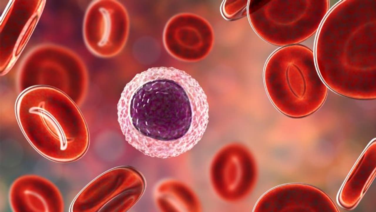 ബ്ലഡ് ക്യാൻസറിന്റെ ഈ പ്രധാനപ്പെട്ട ലക്ഷണങ്ങളെ തിരിച്ചറിയാതെ പോകരുതേ... ബ്ലഡ് ക്യാൻസറിന്റെ ഈ പ്രധാനപ്പെട്ട ലക്ഷണങ്ങളെ തിരിച്ചറിയാതെ പോകരുതേ...