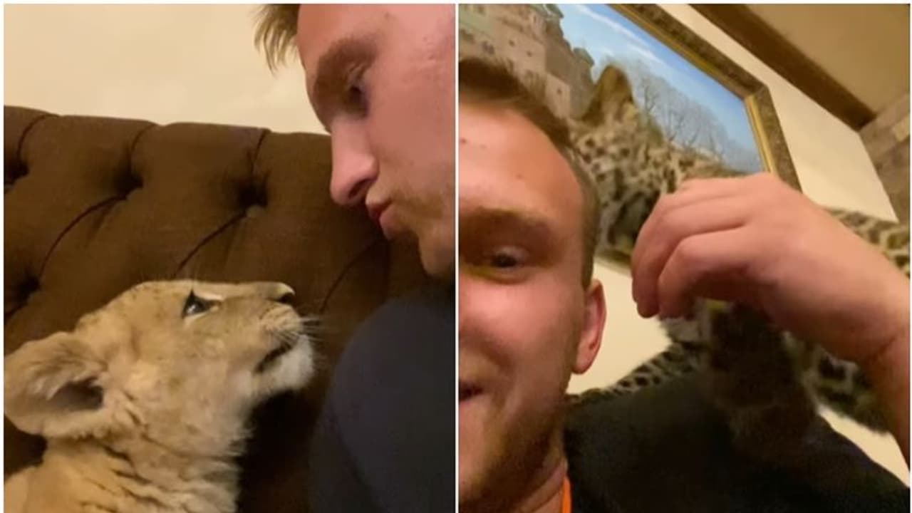 'കാണാൻ രസമുണ്ട്, പക്ഷേ ഇത് ശരിയല്ല'; യുവാവിന്റെ 'പെറ്റ്' വീഡിയോക്ക് വിമര്ശനം 'കാണാൻ രസമുണ്ട്, പക്ഷേ ഇത് ശരിയല്ല'; യുവാവിന്റെ 'പെറ്റ്' വീഡിയോക്ക് വിമര്ശനം