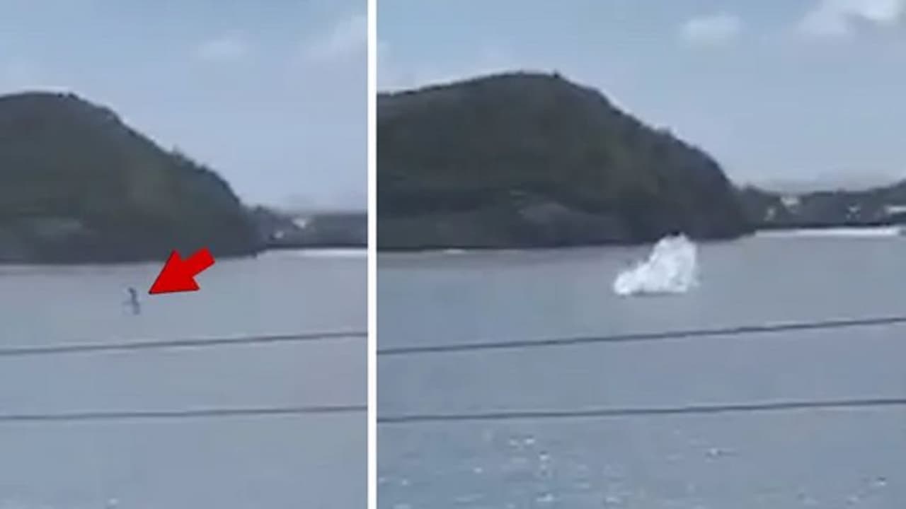 പ്രമുഖ ഹോളിവുഡ് നടനും രണ്ട് പെണ്മക്കളും ചെറുവിമാനം തകര്ന്ന് വീണ് കൊല്ലപ്പെട്ടു പ്രമുഖ ഹോളിവുഡ് നടനും രണ്ട് പെണ്മക്കളും ചെറുവിമാനം തകര്ന്ന് വീണ് കൊല്ലപ്പെട്ടു