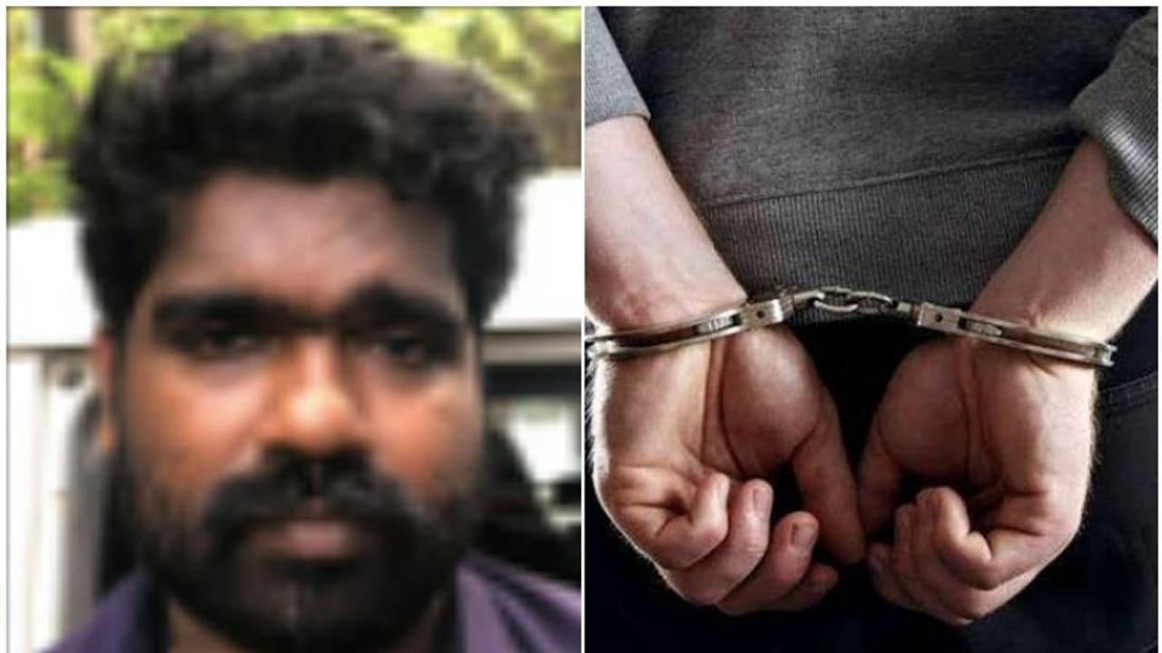 ഒറ്റ നോട്ടത്തിൽ ഓട്ടോ വര്ക്ക്ഷോപ്പ്, പക്ഷെ ഇടപാട് വേറെ; ഗ്രോ ബാഗില് കഞ്ചാവ് കൃഷി നടത്തിയ യുവാവ് പിടിയില് ഒറ്റ നോട്ടത്തിൽ ഓട്ടോ വര്ക്ക്ഷോപ്പ്, പക്ഷെ ഇടപാട് വേറെ; ഗ്രോ ബാഗില് കഞ്ചാവ് കൃഷി നടത്തിയ യുവാവ് പിടിയില്