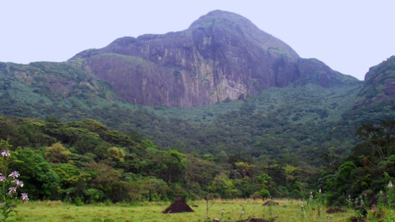 സാഹസിക പ്രേമികൾക്ക് സന്തോഷ വാര്‍ത്ത: അഗസ്ത്യാർകൂടം ട്രെക്കിംഗ് തീയതികൾ പ്രഖ്യാപിച്ചു, അറിയേണ്ട കാര്യങ്ങളെല്ലാം