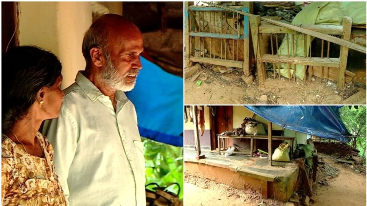 'പണമില്ല, എങ്ങോട്ടും പോകാനില്ല, ആരും സഹായിക്കാനുമില്ല'; പൊളിഞ്ഞു വീഴാറായ കൂരയിൽ ഭീതിയോടെ മൂന്നംഗ കുടുംബം 'പണമില്ല, എങ്ങോട്ടും പോകാനില്ല, ആരും സഹായിക്കാനുമില്ല'; പൊളിഞ്ഞു വീഴാറായ കൂരയിൽ ഭീതിയോടെ മൂന്നംഗ കുടുംബം