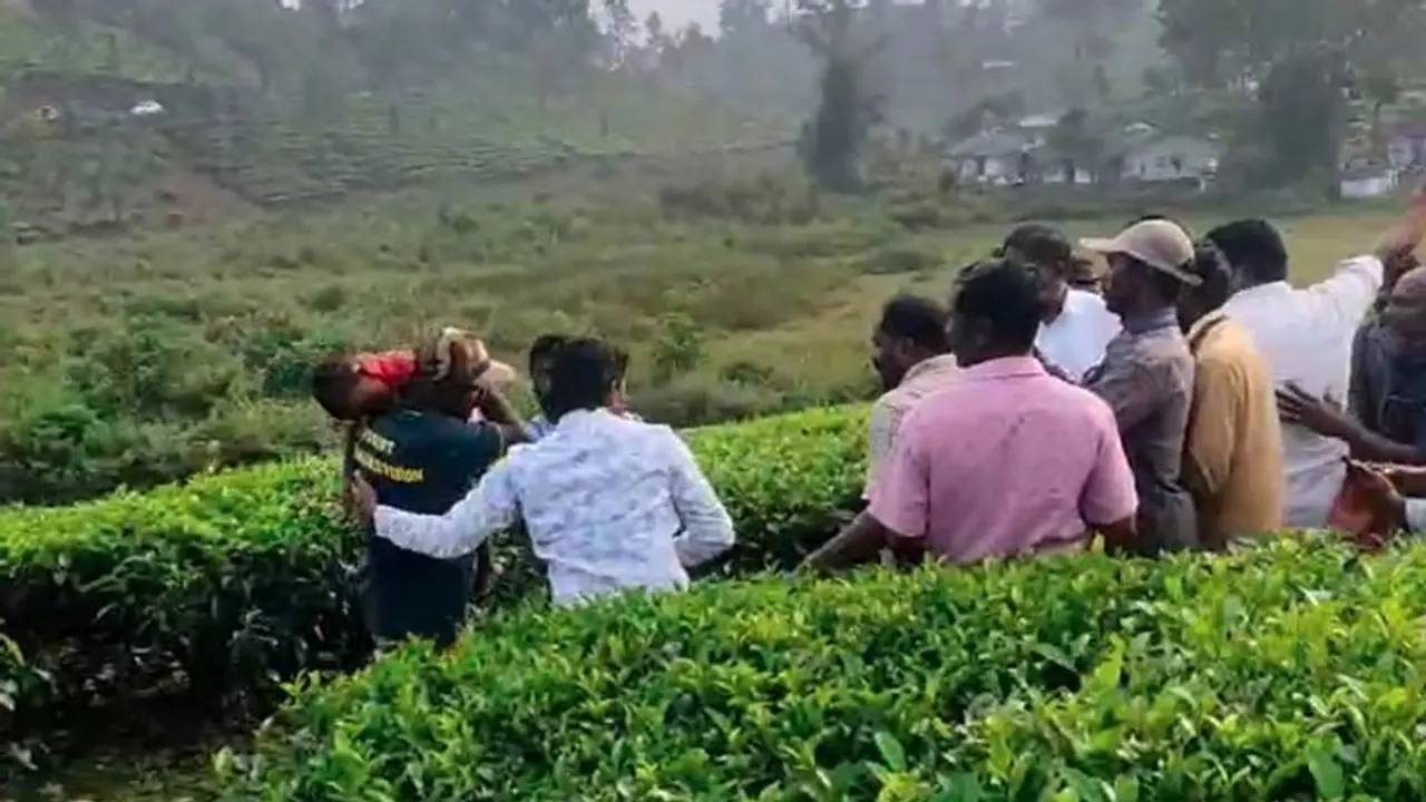 ஷாக்கிங் நியூஸ்.. கூடலூரில் சிறுத்தை தாக்கியதில் குழந்தை பலி..! ஷாக்கிங் நியூஸ்.. கூடலூரில் சிறுத்தை தாக்கியதில் குழந்தை பலி..!