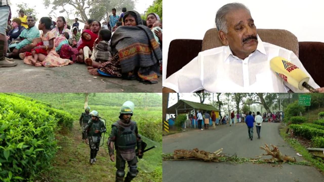 പന്തല്ലൂരിൽ പ്രതിഷേധം ശക്തം, പുലിയെ കണ്ടെത്തി? കേരളത്തിൽ കൂടുവച്ച് പിടികൂടാൻ നടപടി ലഘൂകരിക്കുമെന്ന് വനംമന്ത്രി