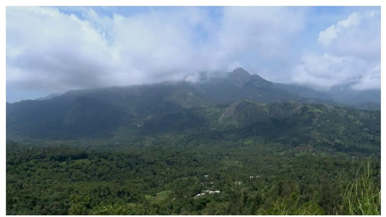 SHOCKING! New report says over 5000 hectares of forest land with encroachers in Kerala