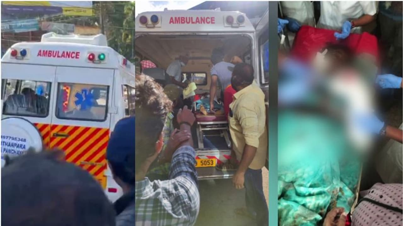 ജോലിക്ക് പോകുന്നതിനിടെ കാട്ടാനയുടെ ആക്രമണം; ഇടുക്കിയില് തോട്ടം തൊഴിലാളി സ്ത്രീക്ക് ദാരുണാന്ത്യം ജോലിക്ക് പോകുന്നതിനിടെ കാട്ടാനയുടെ ആക്രമണം; ഇടുക്കിയില് തോട്ടം തൊഴിലാളി സ്ത്രീക്ക് ദാരുണാന്ത്യം