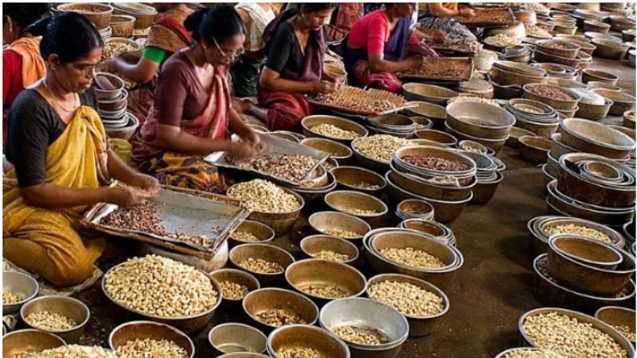 പ്രീമിയം ബ്രാന്റിൽ കശുവണ്ടി, മത്സരിക്കാനൊരുങ്ങുന്നത് രണ്ട് രാജ്യങ്ങളോട്; വിദഗ്ദ സമിതി റിപ്പോർട്ടിലെ നിർദേശങ്ങൾ പ്രീമിയം ബ്രാന്റിൽ കശുവണ്ടി, മത്സരിക്കാനൊരുങ്ങുന്നത് രണ്ട് രാജ്യങ്ങളോട്; വിദഗ്ദ സമിതി റിപ്പോർട്ടിലെ നിർദേശങ്ങൾ