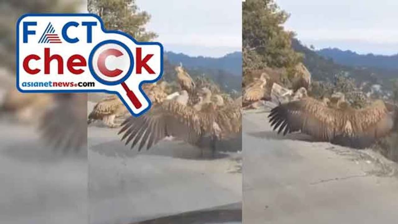 അയോധ്യയില് രാമക്ഷേത്ര ഉദ്ഘാടനത്തിന് മുന്നോടിയായി ജടായു പറന്നിറങ്ങിയോ? വീഡിയോയുടെ സത്യമറിയാം അയോധ്യയില് രാമക്ഷേത്ര ഉദ്ഘാടനത്തിന് മുന്നോടിയായി ജടായു പറന്നിറങ്ങിയോ? വീഡിയോയുടെ സത്യമറിയാം