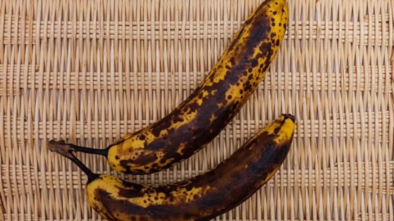 ಬಾಳೆಹಣ್ಣು ಕಪ್ಪಾಗಿದೆ ಅಂತ ಎಸಿಬೇಡಿ, ಅದನ್ನು ತಿನ್ನೋದ್ರಿಂದ ಆರೋಗ್ಯಕ್ಕೆಷ್ಟು ಲಾಭವಿದೆ ತಿಳ್ಕೊಳ್ಳಿ ಬಾಳೆಹಣ್ಣು ಕಪ್ಪಾಗಿದೆ ಅಂತ ಎಸಿಬೇಡಿ, ಅದನ್ನು ತಿನ್ನೋದ್ರಿಂದ ಆರೋಗ್ಯಕ್ಕೆಷ್ಟು ಲಾಭವಿದೆ ತಿಳ್ಕೊಳ್ಳಿ