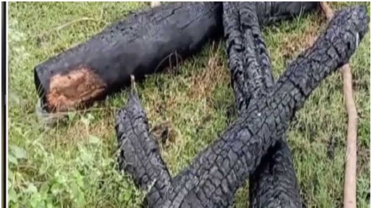 ദളിത് യുവാവിനെ വിവാഹം ചെയ്ത 19 കാരിയെ ചുട്ടുകൊന്നു; അച്ഛനും 4 ബന്ധുക്കളും അറസ്റ്റിൽ ദളിത് യുവാവിനെ വിവാഹം ചെയ്ത 19 കാരിയെ ചുട്ടുകൊന്നു; അച്ഛനും 4 ബന്ധുക്കളും അറസ്റ്റിൽ