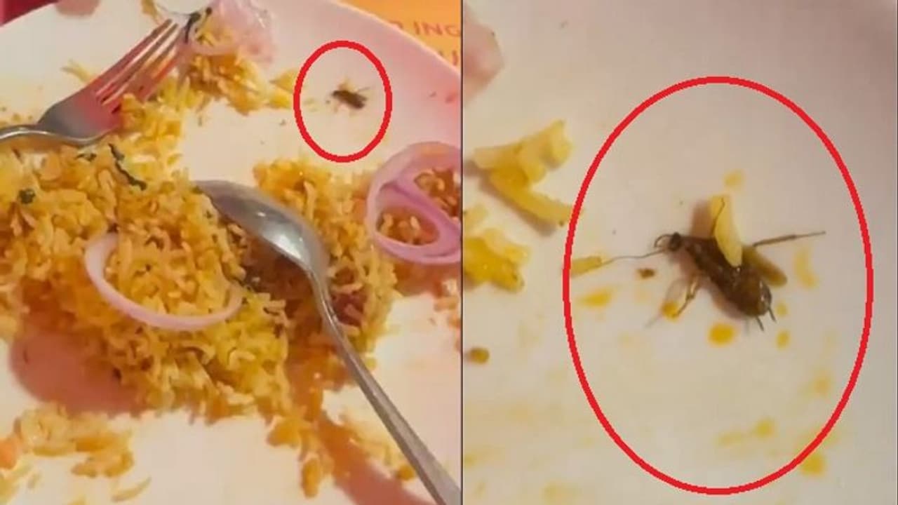 చూడకుంటా తింటే హాస్పిటల్ కే.. ప్రముఖ రెస్టారెంట్ లోని బిర్యానీలో చచ్చిన బొద్దింక..