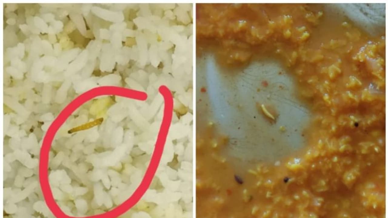 ഹോസ്റ്റല്‍ ഭക്ഷണത്തിൽ പുഴു; റോഡില്‍ കുത്തിയിരുന്ന് പ്രതിഷേധിച്ച് സർവ്വകലാശാല വിദ്യാര്‍ത്ഥിനികള്‍ 