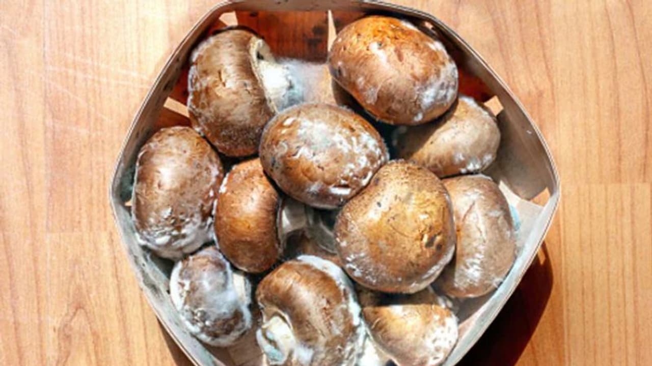 ഈ വിറ്റാമിന്‍റെ കുറവുള്ളവര്‍ക്ക് കഴിക്കാം മഷ്‌റൂം; അറിയാം മറ്റ് ഗുണങ്ങള്‍... 