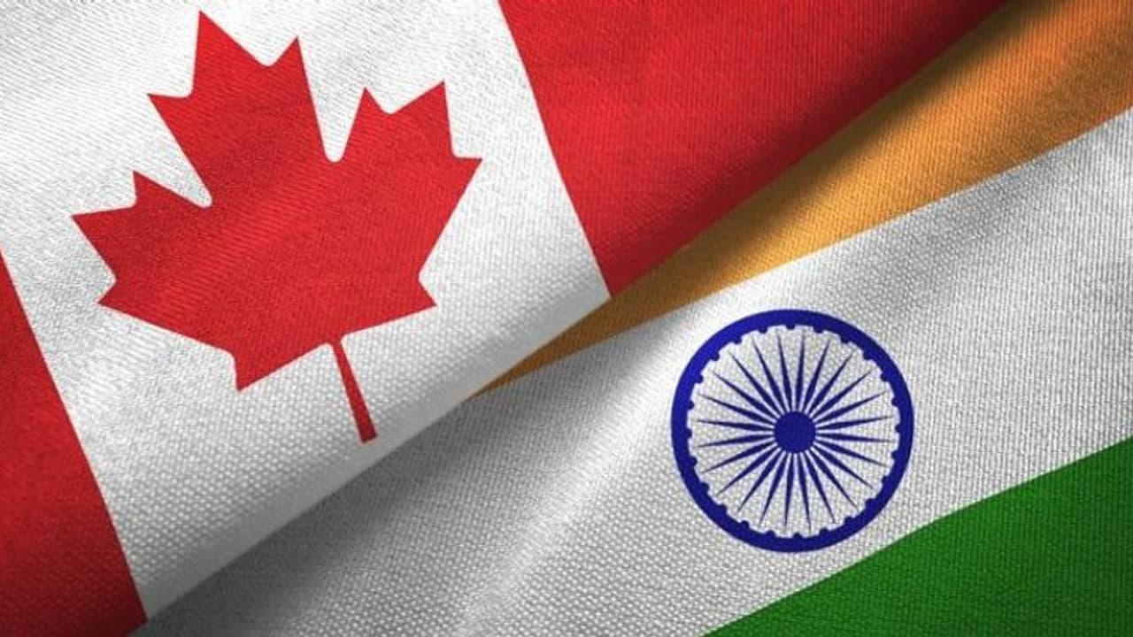 86% drop in study permits issued to Indian students after India Canada spat