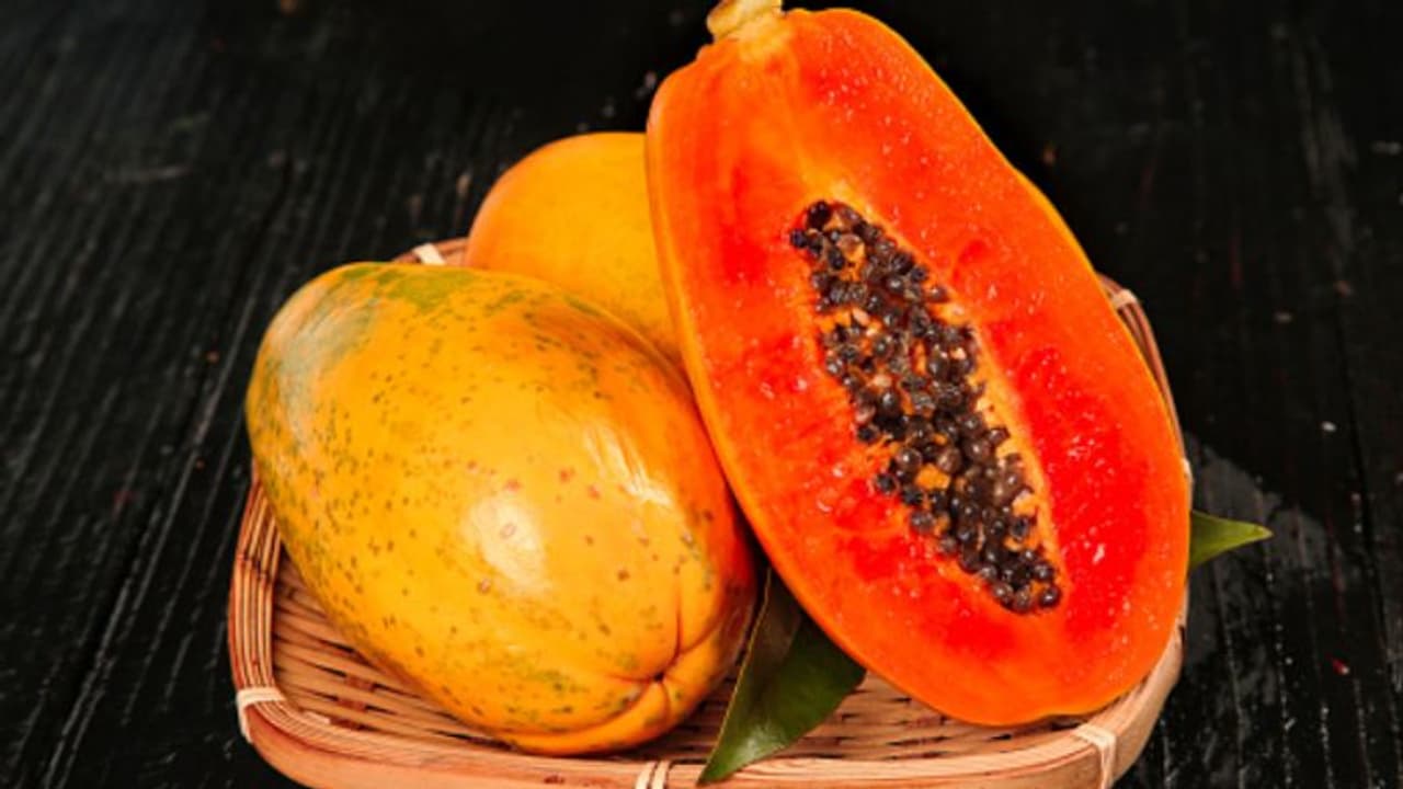 papaya papaya