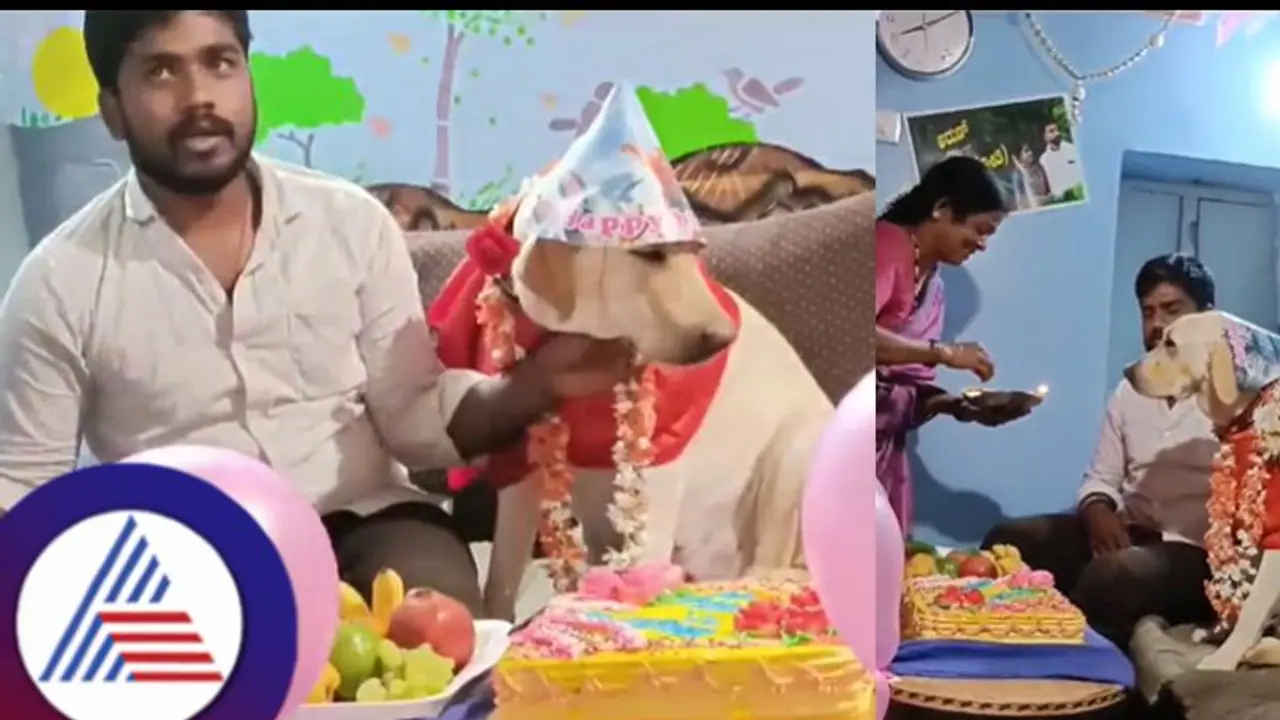 ಪ್ರೀತಿಯಿಂದ ಸಾಕಿದ ನಾಯಿಗೆ ಮಾಲೀಕನಿಂದ ಸೀಮಂತ; ಅರಿಶಿಣ, ಕುಂಕುಮ ಇಟ್ಟು ಆರತಿ ಬೆಳಗಿದ ಮಹಿಳೆಯರು! ಪ್ರೀತಿಯಿಂದ ಸಾಕಿದ ನಾಯಿಗೆ ಮಾಲೀಕನಿಂದ ಸೀಮಂತ; ಅರಿಶಿಣ, ಕುಂಕುಮ ಇಟ್ಟು ಆರತಿ ಬೆಳಗಿದ ಮಹಿಳೆಯರು!