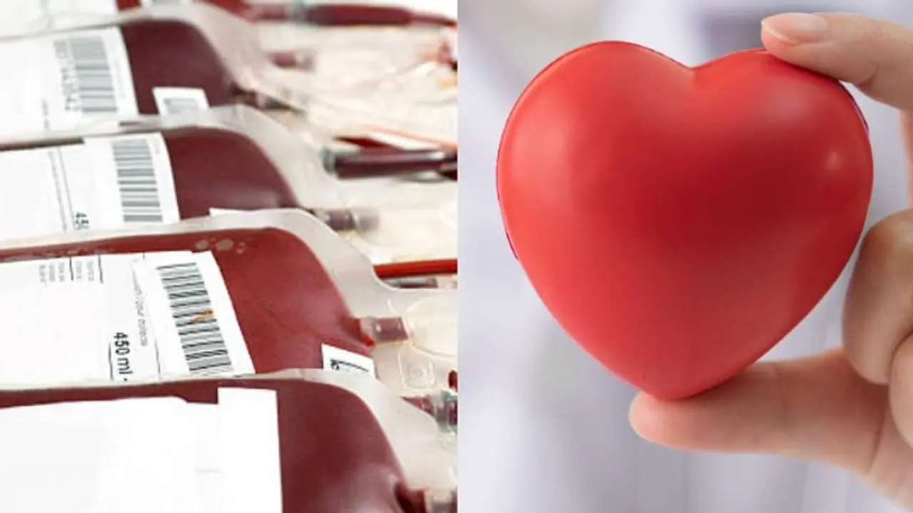 ലോകത്ത് ബ്ലഡ്ബാഗുകളിൽ 12% നിർമിക്കുന്നത് കേരളത്തിൽ, വർഷം 20000 ഹൃദയവാൽവ് നിർമിക്കുന്നതും ഇവിടെ: മന്ത്രി രാജീവ്