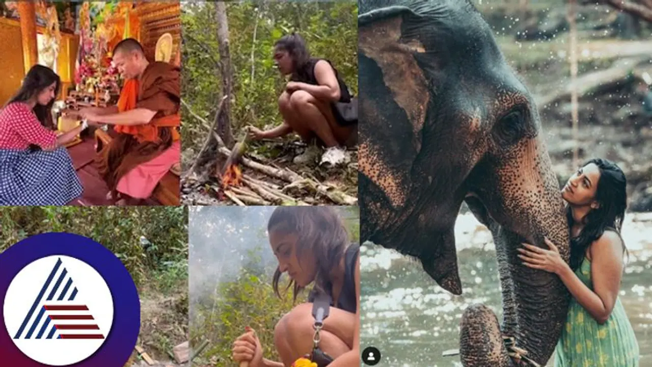 ಮೆಗಾ ಮನೆಮಗಳಿಗೆ ಇದೇನಾಯ್ತು? ಡಿವೋರ್ಸ್ ಬೆನ್ನಲ್ಲೇ ಕಾಡಿನಲ್ಲಿ ಅಲೆದಾಟ ಆನೆಗೆ ಇಂಥ ರಿಕ್ವೆಸ್ಟಾ? ಮೆಗಾ ಮನೆಮಗಳಿಗೆ ಇದೇನಾಯ್ತು? ಡಿವೋರ್ಸ್ ಬೆನ್ನಲ್ಲೇ ಕಾಡಿನಲ್ಲಿ ಅಲೆದಾಟ ಆನೆಗೆ ಇಂಥ ರಿಕ್ವೆಸ್ಟಾ?