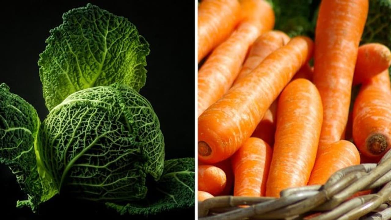 10 vegetables that help in maintaining good cholesterol levels