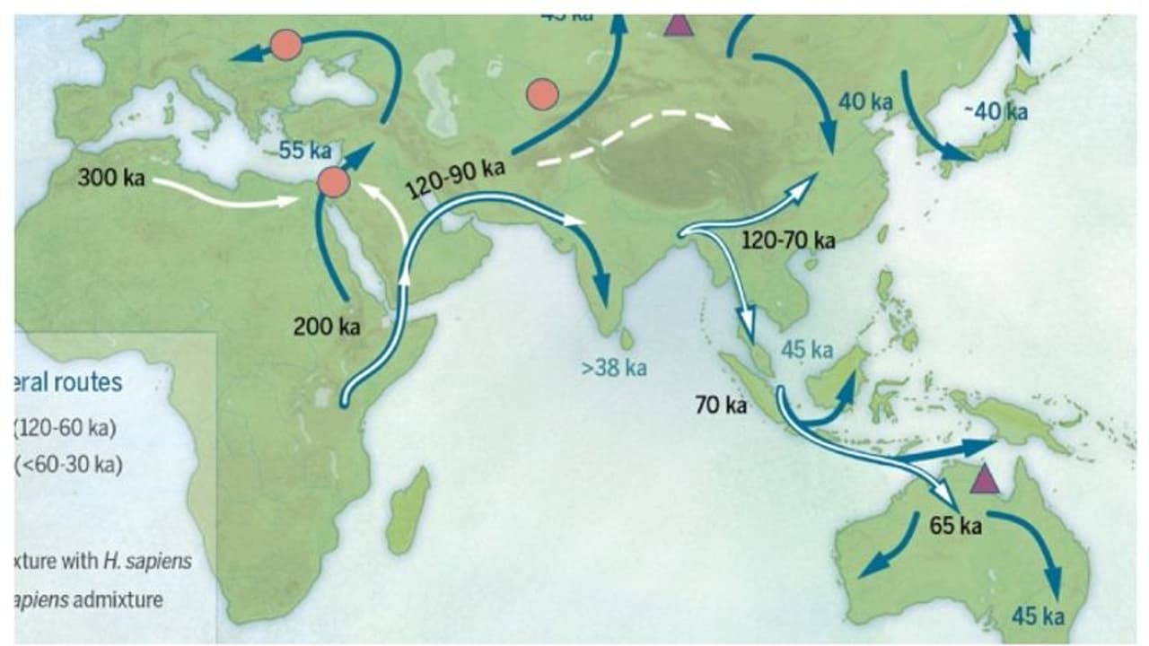 1,25,000 വര്‍ഷം മുമ്പ് അവര്‍ ആഫ്രിക്കയില്‍ നിന്ന് ഏഷ്യയിലേക്ക് കുടിയേറി; ആദിമമനുഷ്യന്‍റെ യാത്രയുടെ തുടക്കം !