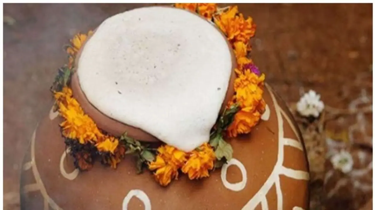 മകര പൊങ്കൽ ; പ്രധാന്യവും ആഘോഷരീതിയെയും കുറിച്ചറിയാം മകര പൊങ്കൽ ; പ്രധാന്യവും ആഘോഷരീതിയെയും കുറിച്ചറിയാം