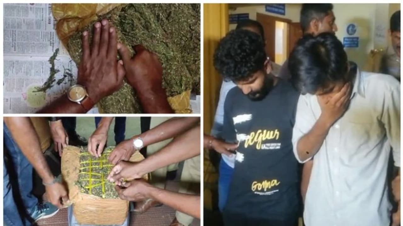 പ്ലാറ്റ്ഫോമിൽ ഉദ്യോഗസ്ഥരെ കണ്ട് ഒറ്റയോട്ടം, ബാഗ് പരിശോധിച്ച് എക്സൈസ്, അകത്ത് 48 കിലോ കഞ്ചാവ്, 2 പേർ പിടിയിൽ പ്ലാറ്റ്ഫോമിൽ ഉദ്യോഗസ്ഥരെ കണ്ട് ഒറ്റയോട്ടം, ബാഗ് പരിശോധിച്ച് എക്സൈസ്, അകത്ത് 48 കിലോ കഞ്ചാവ്, 2 പേർ പിടിയിൽ