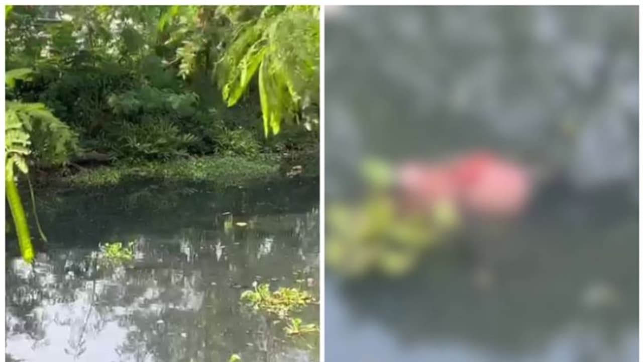 45 വയസ്സ് തോന്നിക്കുന്ന യുവതിയുടെ മൃതദേഹം; കണ്ടെത്തിയത് കോഴിക്കോട് കനോലി കനാലിൽ 45 വയസ്സ് തോന്നിക്കുന്ന യുവതിയുടെ മൃതദേഹം; കണ്ടെത്തിയത് കോഴിക്കോട് കനോലി കനാലിൽ