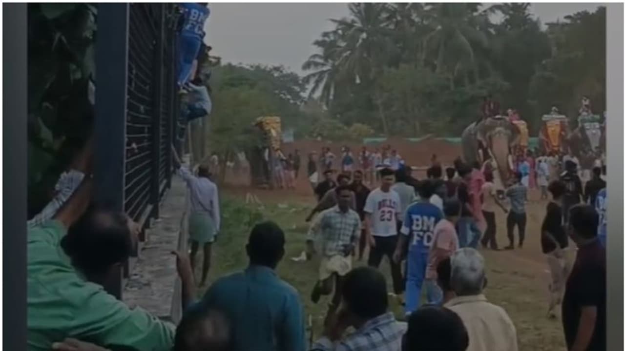 പെരുമ്പിലാവില് നന്തിലത്ത് ഗോപാലകൃഷ്ണൻ ഇടഞ്ഞു, സംഭവം ആനയുടെ മുന്നിൽ നിൽക്കുന്നതിനെ ചൊല്ലിയുള്ള തർക്കത്തിനിടെ പെരുമ്പിലാവില് നന്തിലത്ത് ഗോപാലകൃഷ്ണൻ ഇടഞ്ഞു, സംഭവം ആനയുടെ മുന്നിൽ നിൽക്കുന്നതിനെ ചൊല്ലിയുള്ള തർക്കത്തിനിടെ