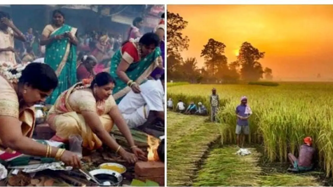 உழவர் பொங்கல்.! வீடு நிறைய பணம் இருந்தாலும்.. வயிறு நிறைய உணவு தேவை உலகம் வாழ உழவு தேவை